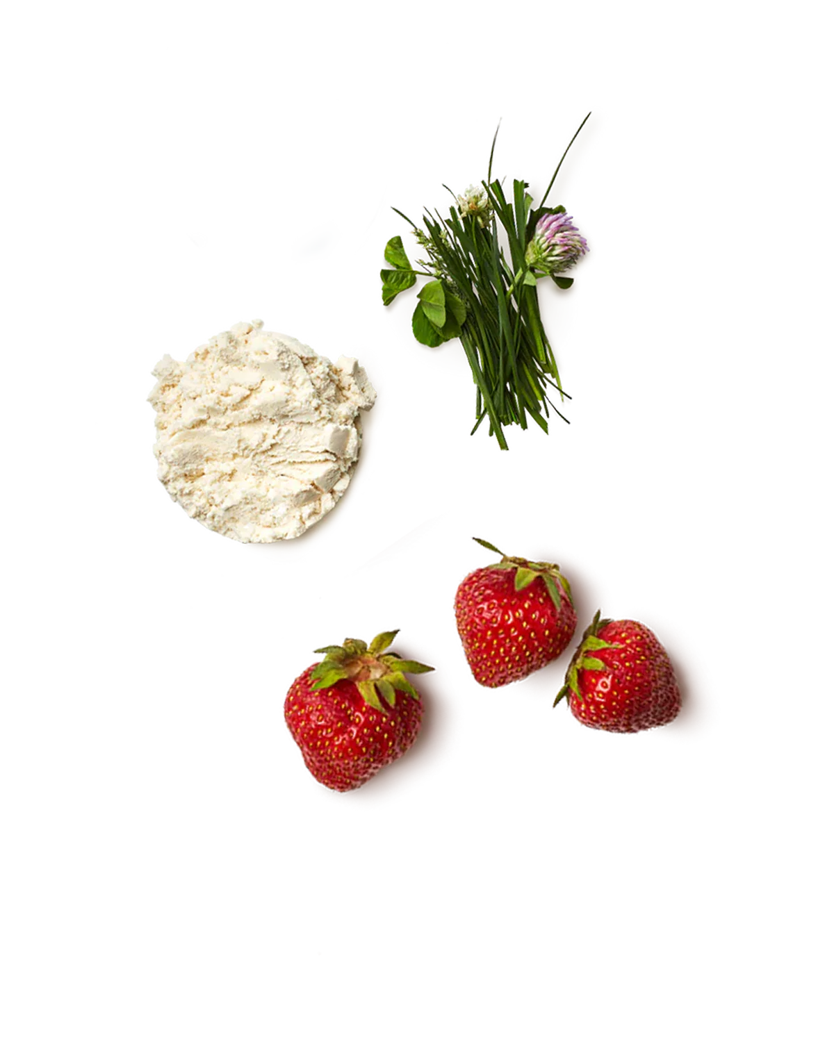 Strawberry Milk Whey Protein Isolate Powder - Image 3